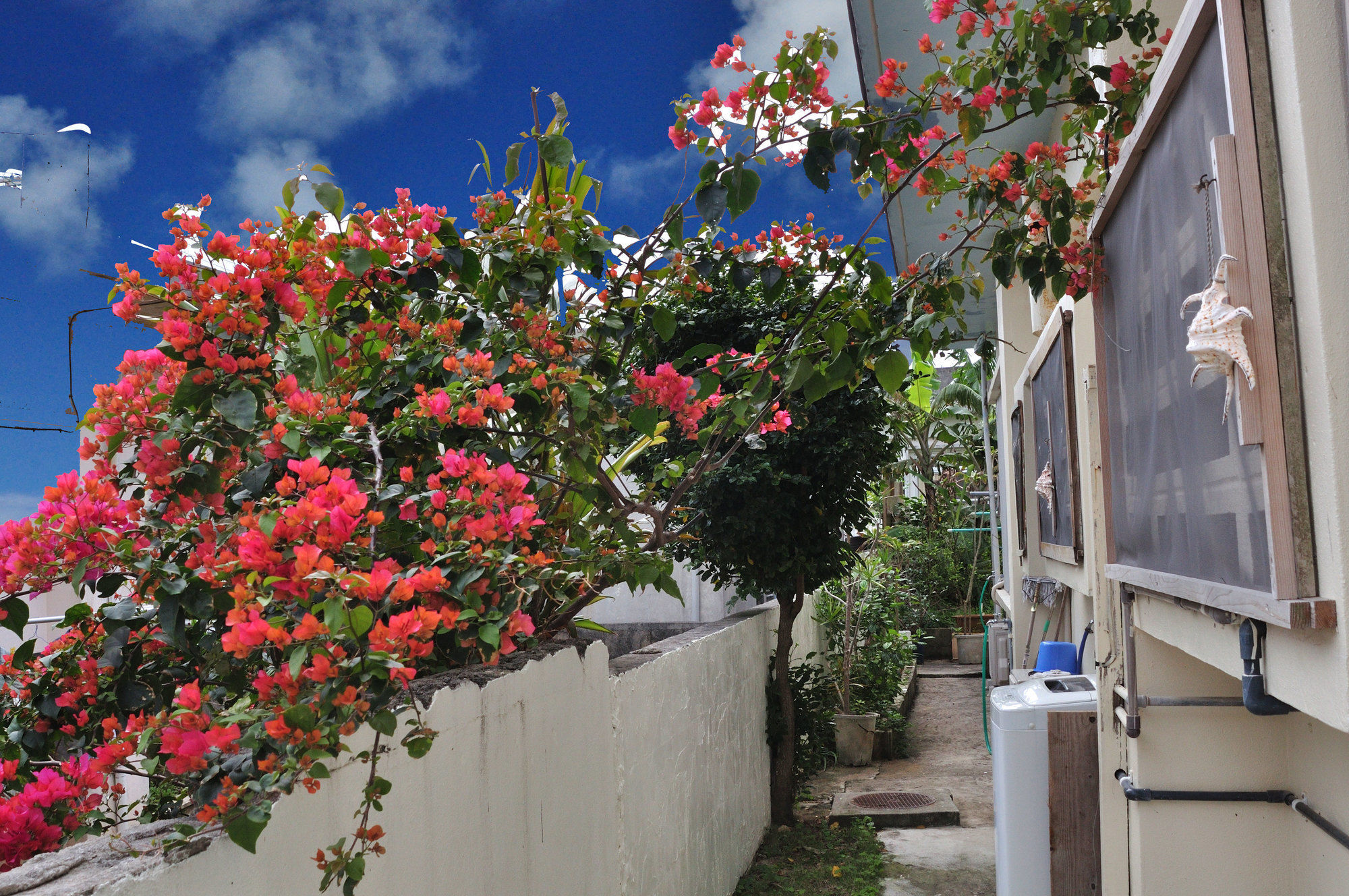 Accommodation Limited To One Group Per Day Yukuiru Miyakojima  Εξωτερικό φωτογραφία